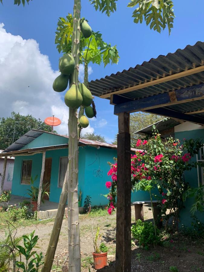 Alba House Villa Puerto Jimenez Luaran gambar